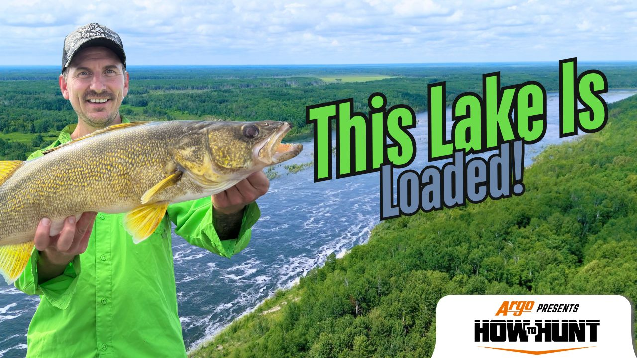 Golden Slabs of Tobin Lake episode thumbnail