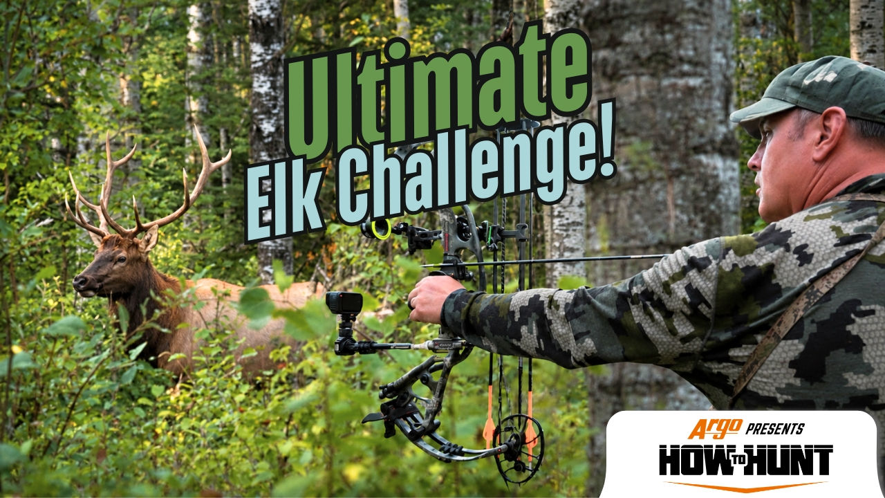 Close Calls in Alberta Elk Country Part 1 episode thumbnail