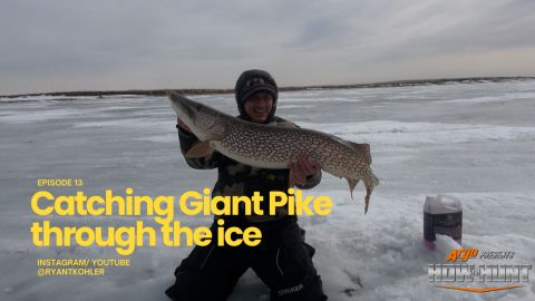 Catching Giant Pike Through the Ice episode thumbnail