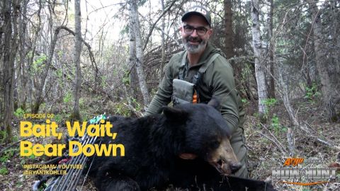 Bait, Wait, Bear Down episode thumbnail