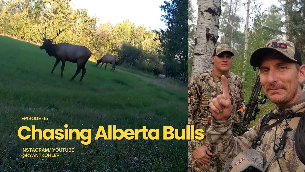 Chasing Alberta Bulls episode thumbnail