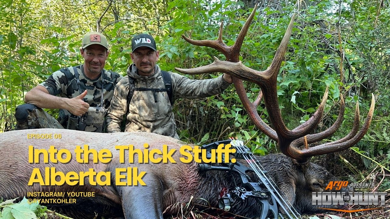Into the Thick Stuff: Alberta Elk episode thumbnail