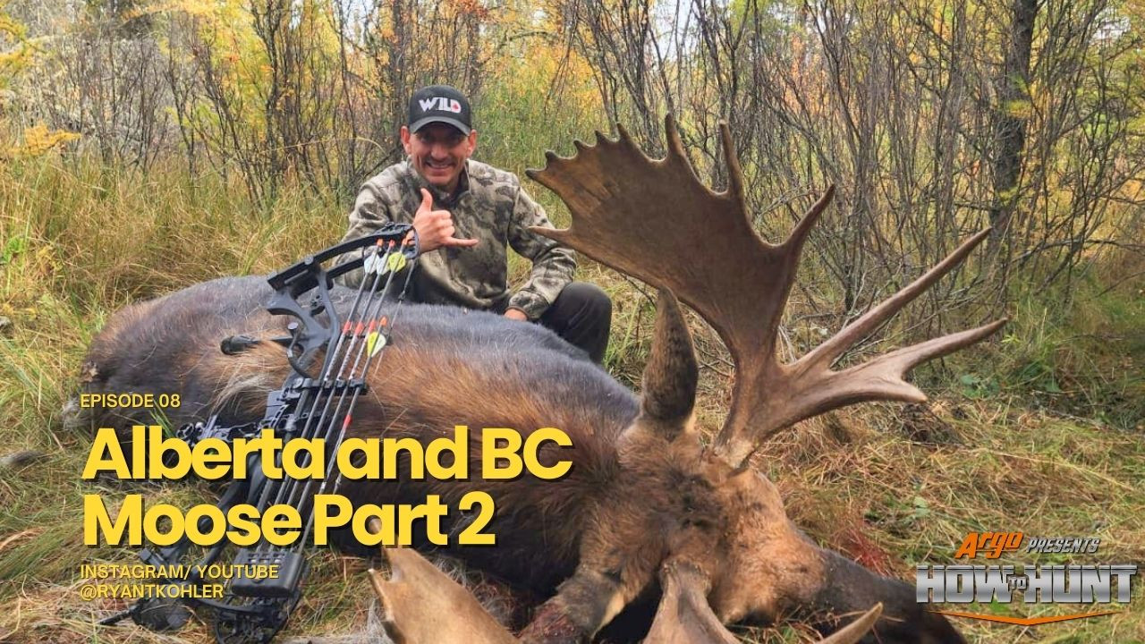 Alberta and BC Moose Part 2 episode thumbnail