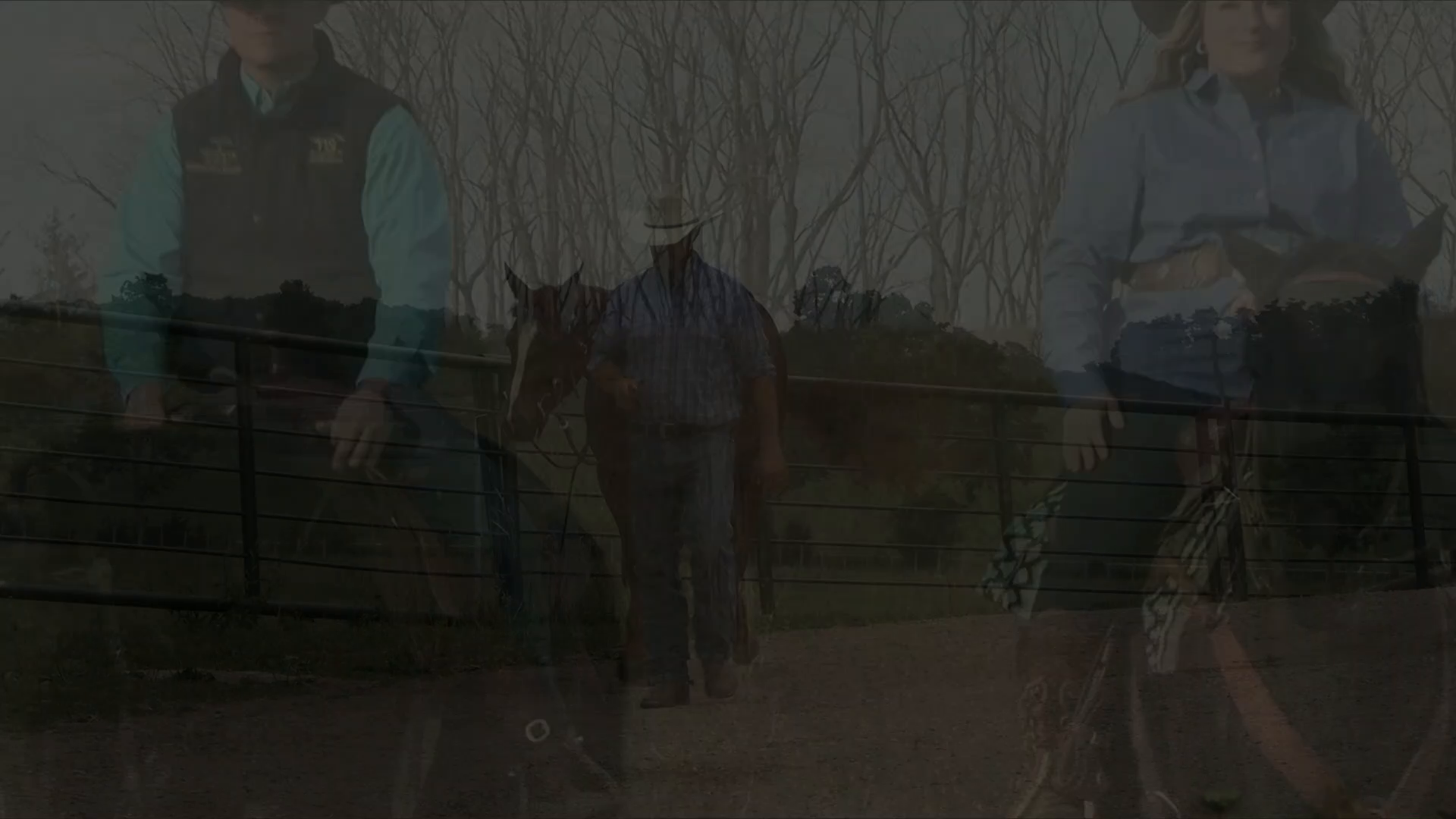 Young Horse Training Part One episode thumbnail