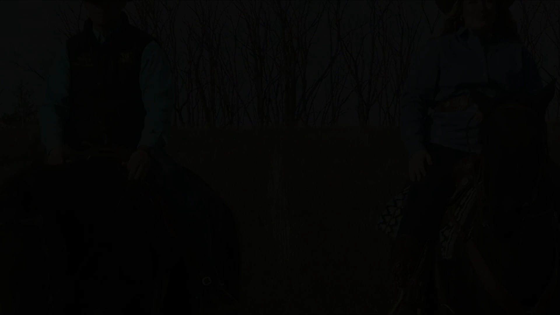 Young Horse Training Part Two episode thumbnail