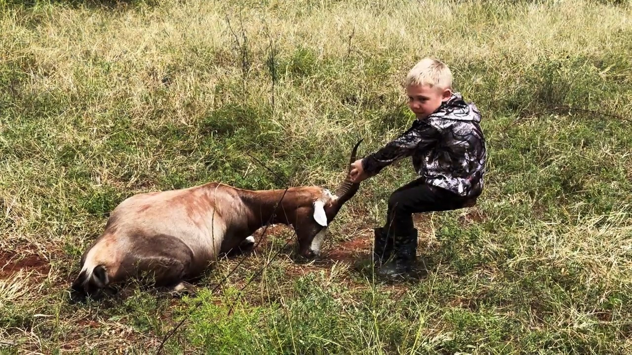 A Family Hunt with Purpose in Limpopo episode thumbnail