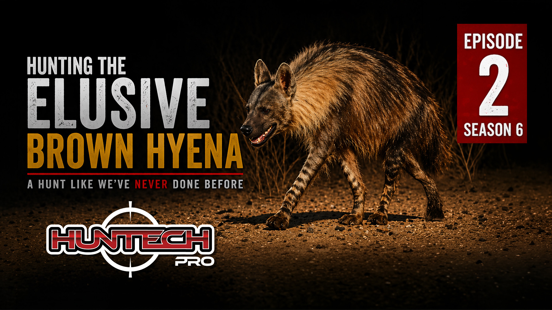 Hunting the Elusive Brown Hyena episode thumbnail