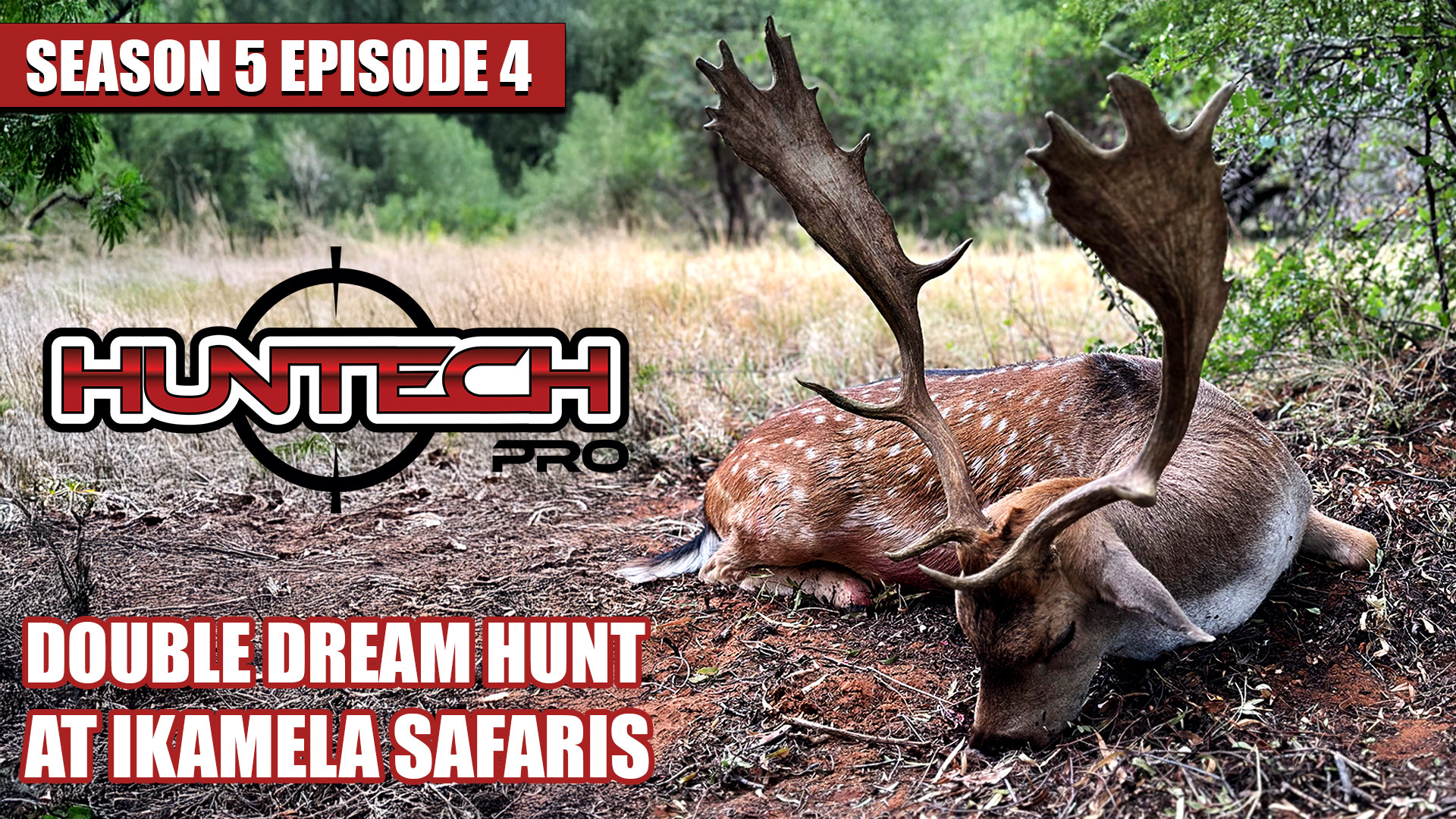 Double Dream Hunt! Fallow Deer, Zebra & More at Ikamela Safaris! episode thumbnail