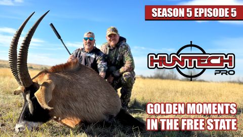 Golden Moments in the Free State | Sable, Roan & Wildebeest Action! episode thumbnail
