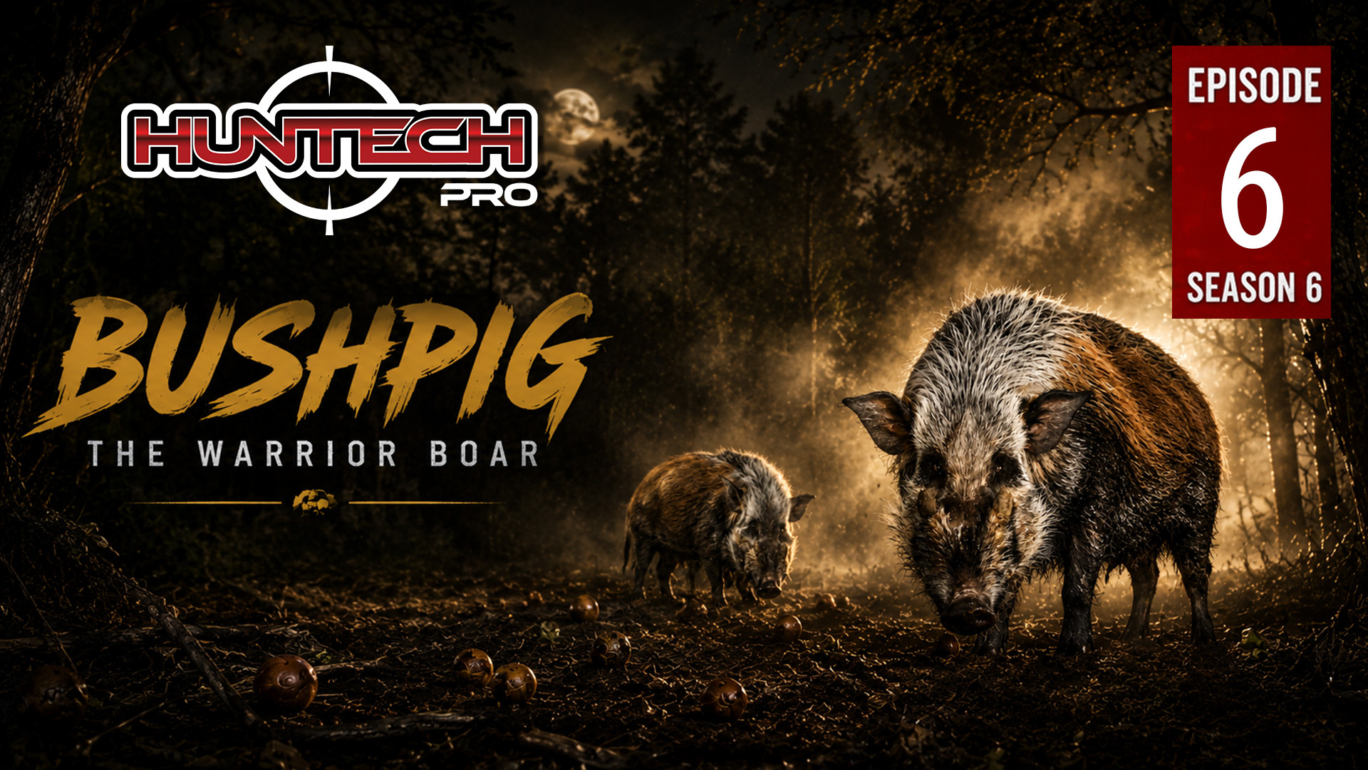 The Warrior Bushpig episode thumbnail