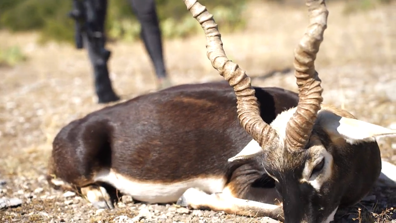 Across Continents, Into Crosshairs episode thumbnail