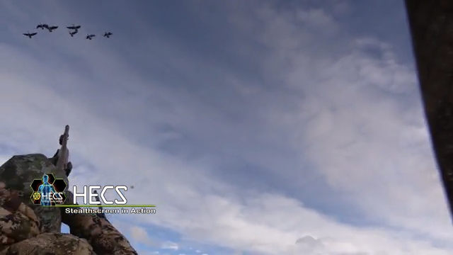 Waterfowl and Predator Action episode thumbnail