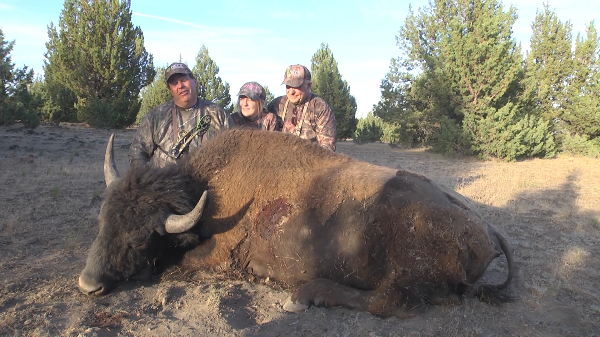 Late Season Bear & Bison episode thumbnail