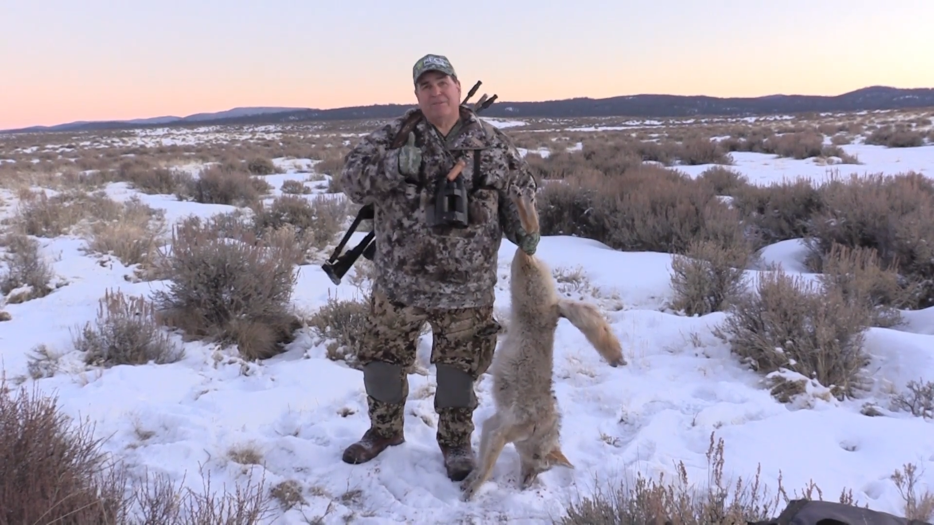 High Action Coyotes episode thumbnail