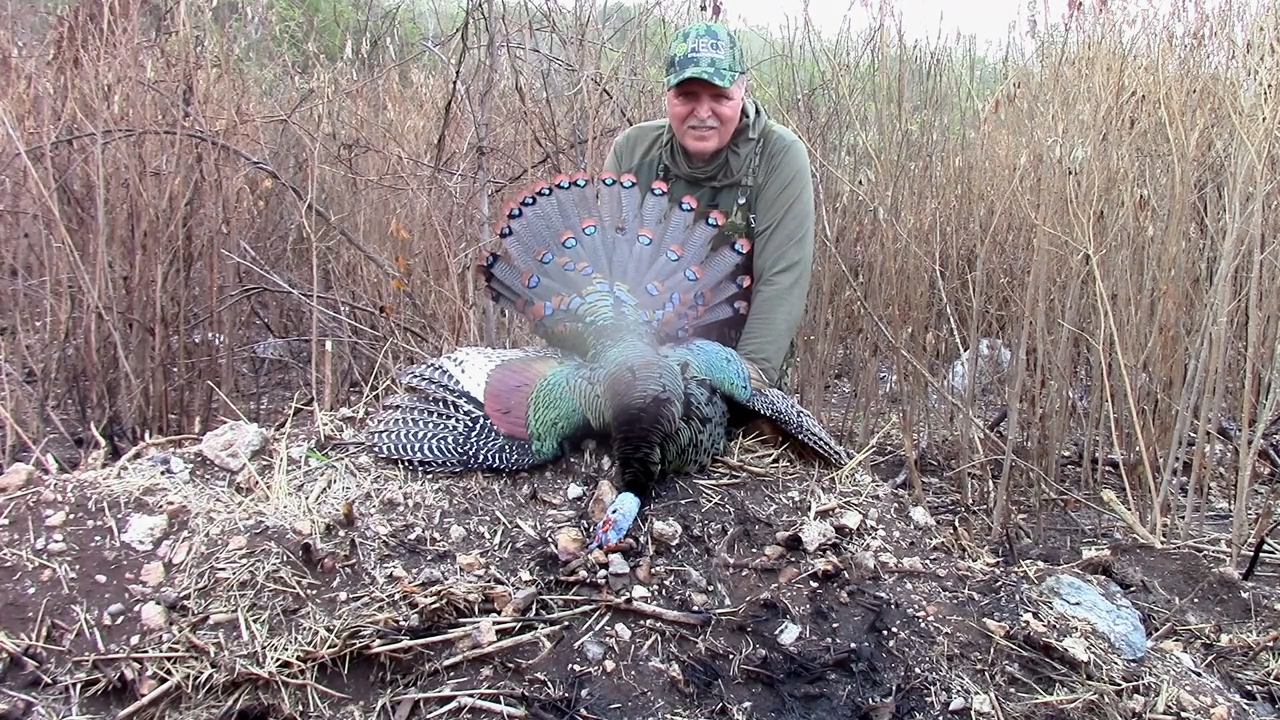 Heading to Mexico to hunt the Ornate Ocellated Turkey episode thumbnail