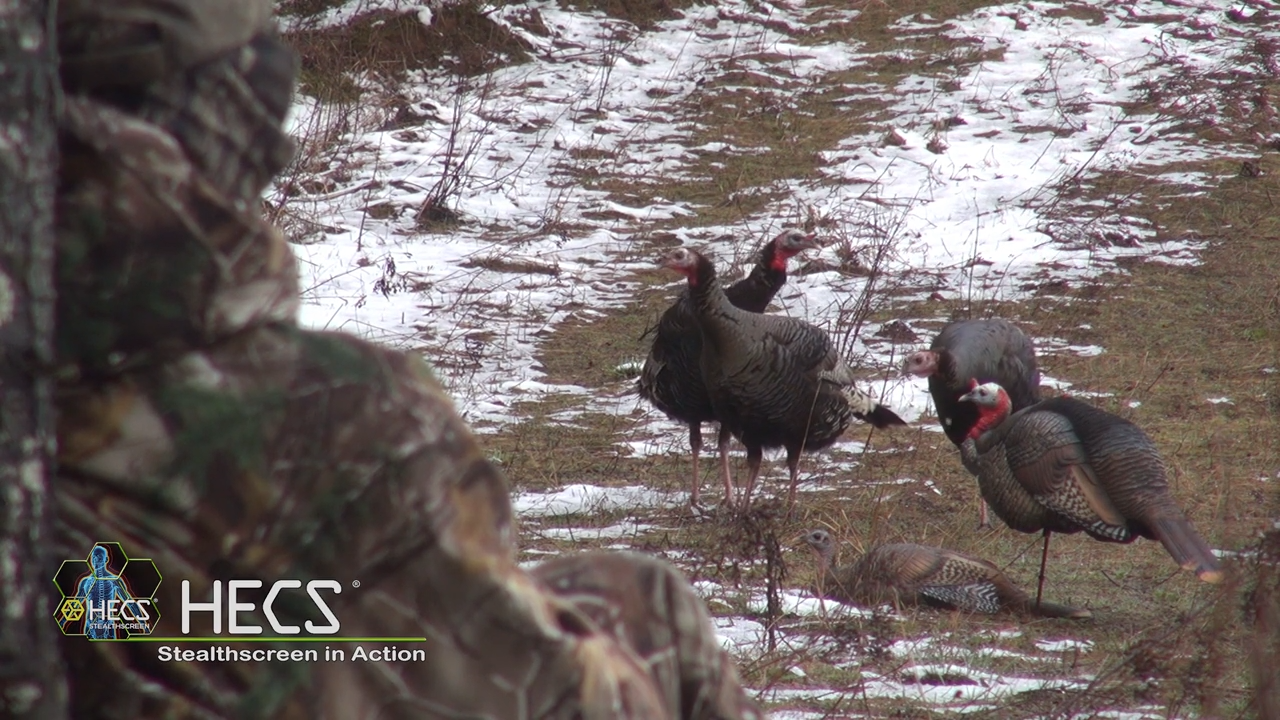 Action Packed Turkey & Predator Hunts episode thumbnail