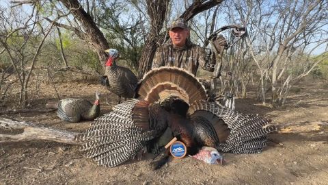 Bowhunting Wild Turkeys the HECS Way! episode thumbnail