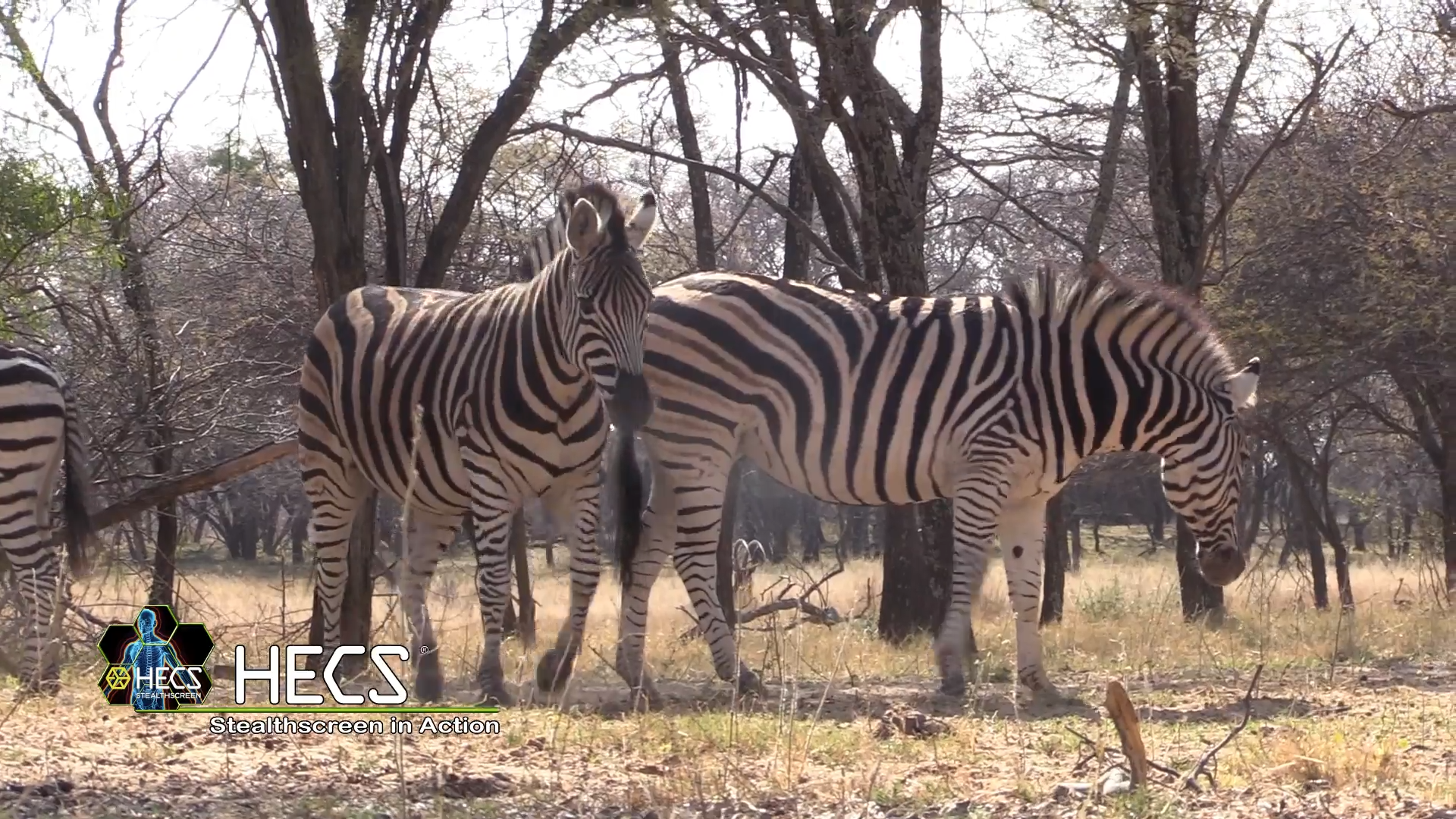 Putting the HECS on Africa episode thumbnail