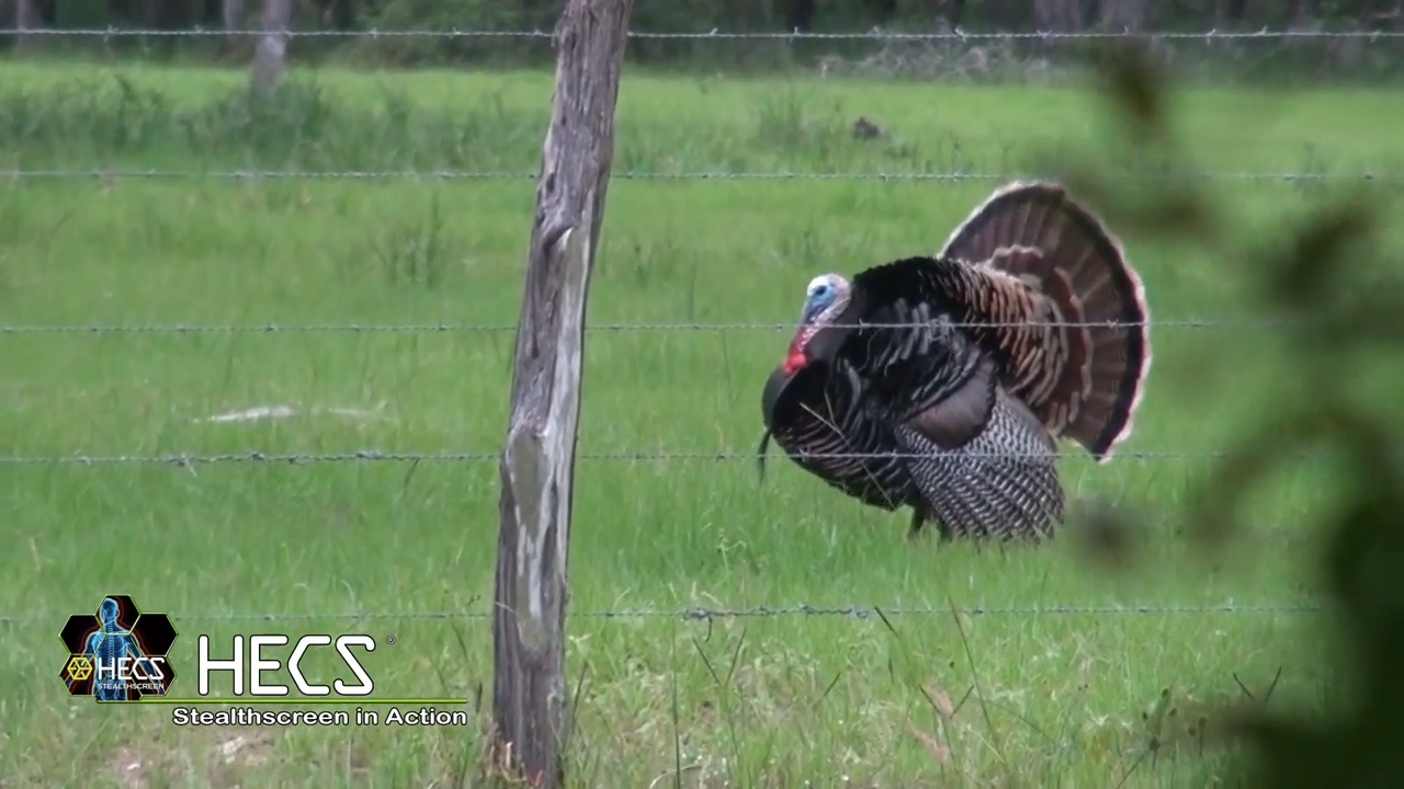 HECS Users Showcase Turkey Hunts episode thumbnail