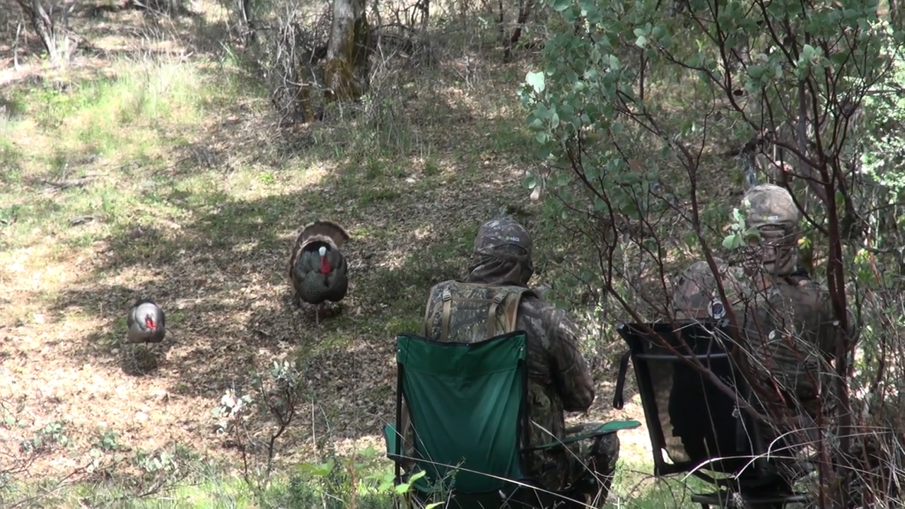 Changing Turkey Tactics episode thumbnail