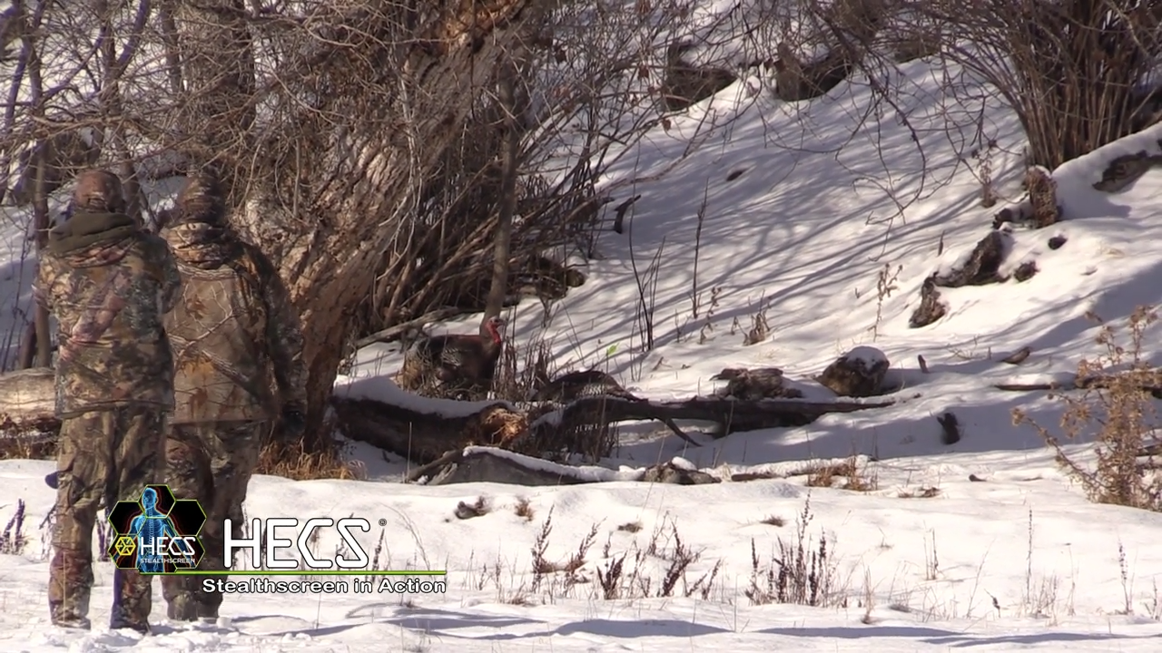 Mind Blowing Close Encounters on Turkey & Black Bear episode thumbnail