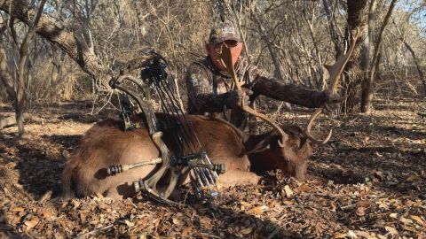 Bowhunting Bears, Bucks, and Water Buffalo! episode thumbnail