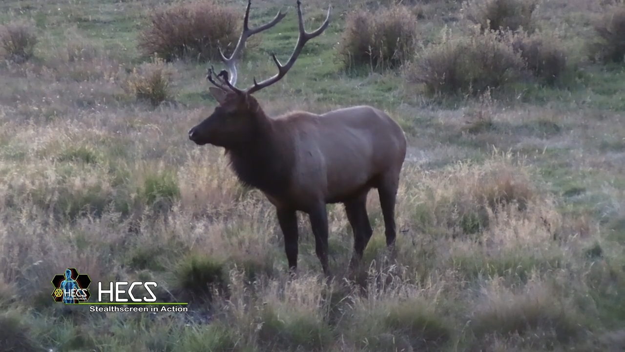 Screaming Bulls of September episode thumbnail