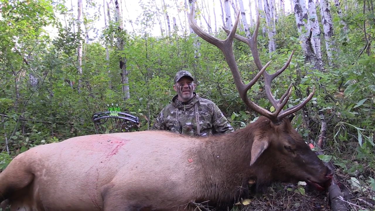 Chasing Bugling Bulls episode thumbnail