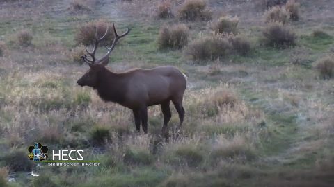 Screaming Bulls of September episode thumbnail