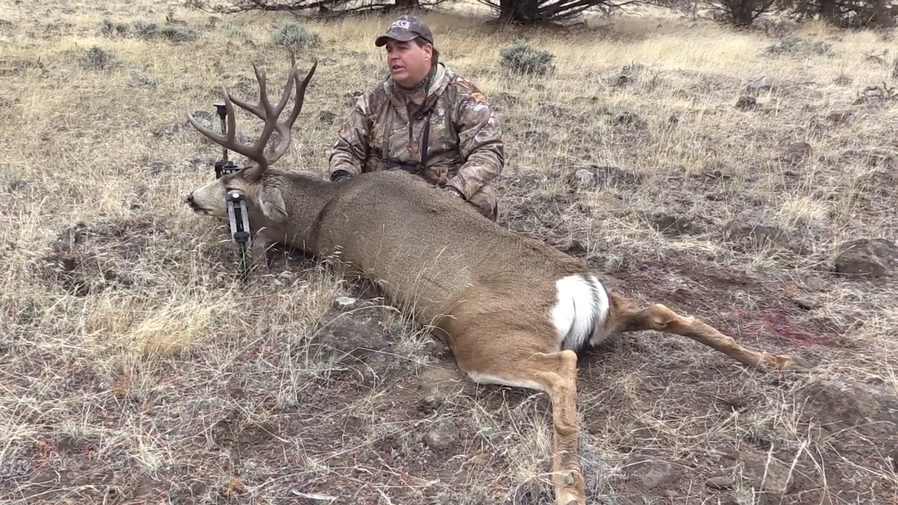 Spot & Stalk Archery Mule Deer episode thumbnail