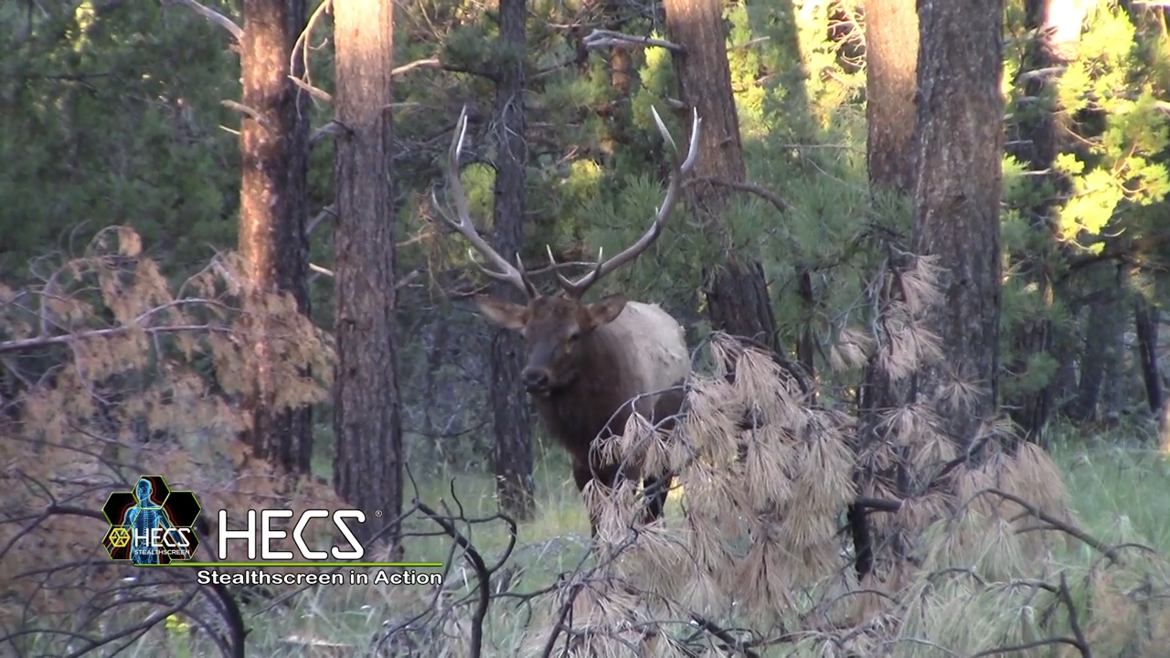 Exciting Look Back at HECS Moments episode thumbnail