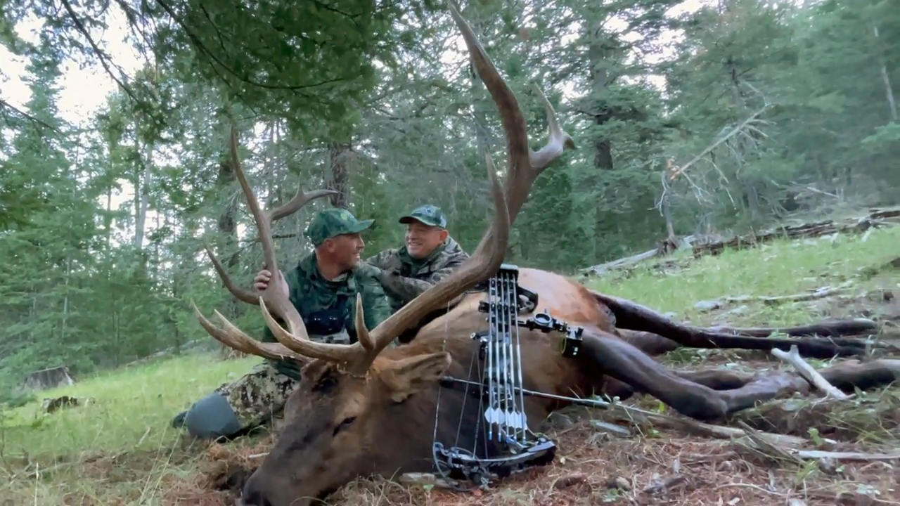 Exciting Year End Encounters episode thumbnail