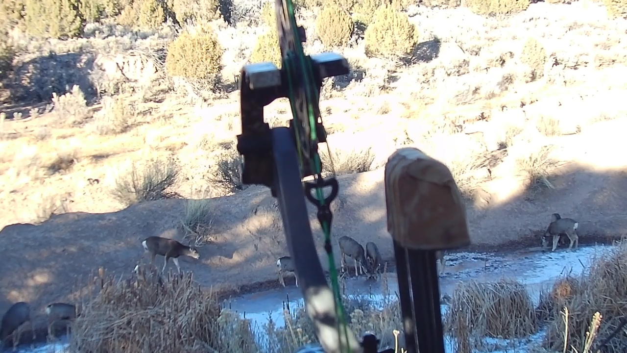 Adaptive Tactics Pay Off! episode thumbnail