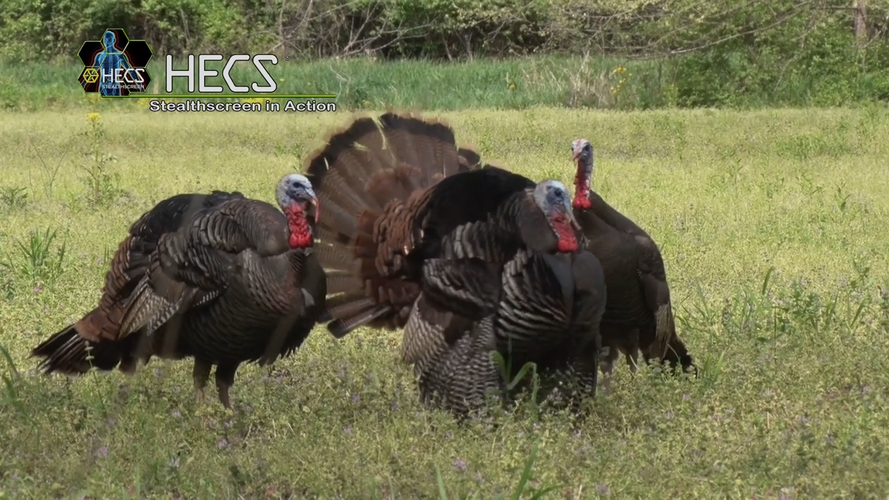 Incredible Encounters episode thumbnail