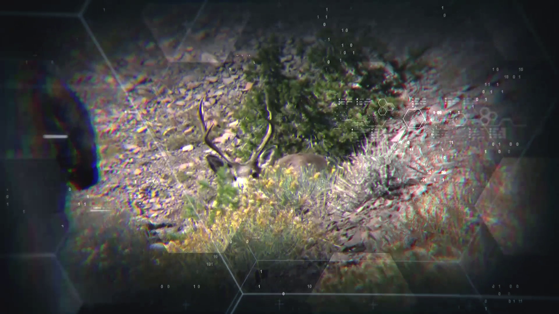 2025's Best HECS Encounters episode thumbnail