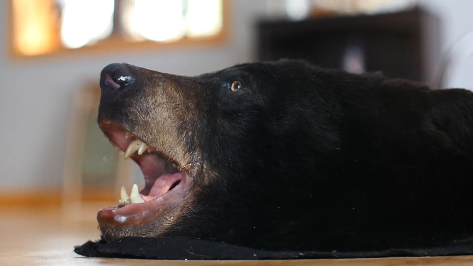 Barely Made It episode thumbnail