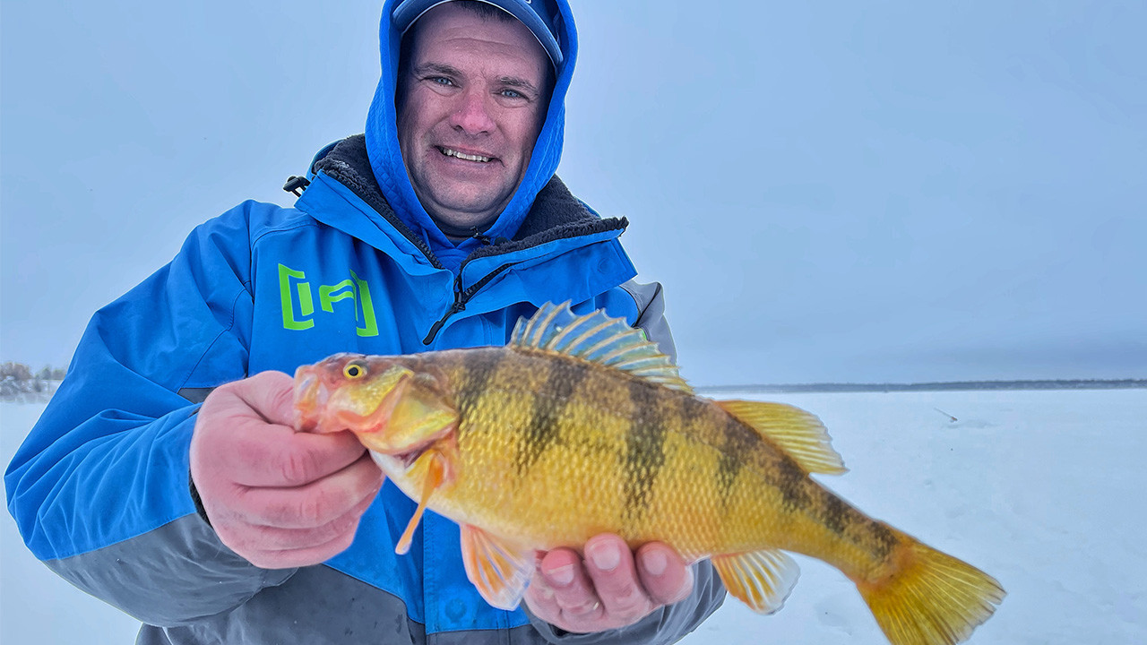 Jumbo Perch on Devils Lake episode thumbnail
