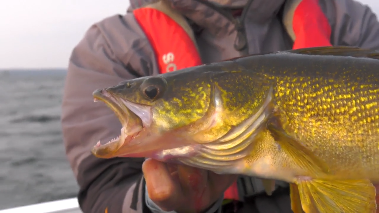 Canada Drive to Fishing episode thumbnail