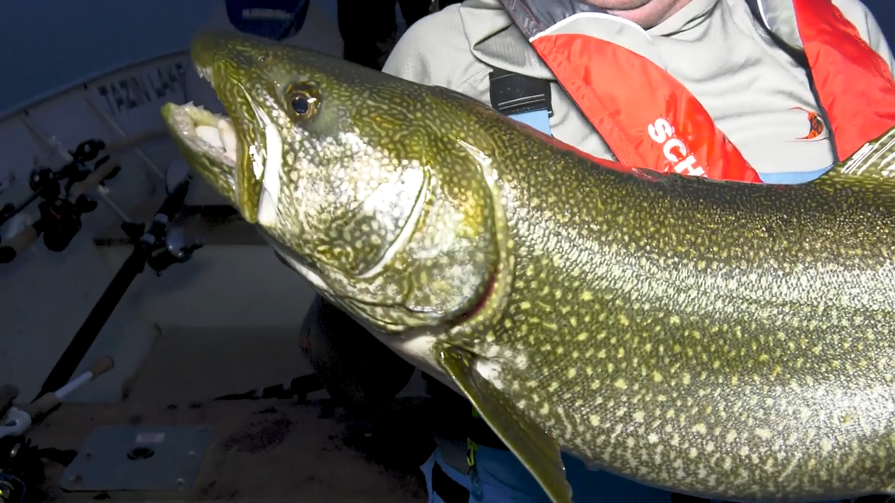 Giant Lake Trout of Tazin Lake episode thumbnail