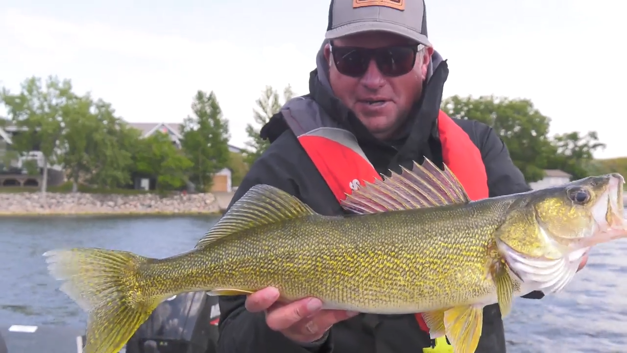 Bottom Bouncer Cold Front Walleye episode thumbnail