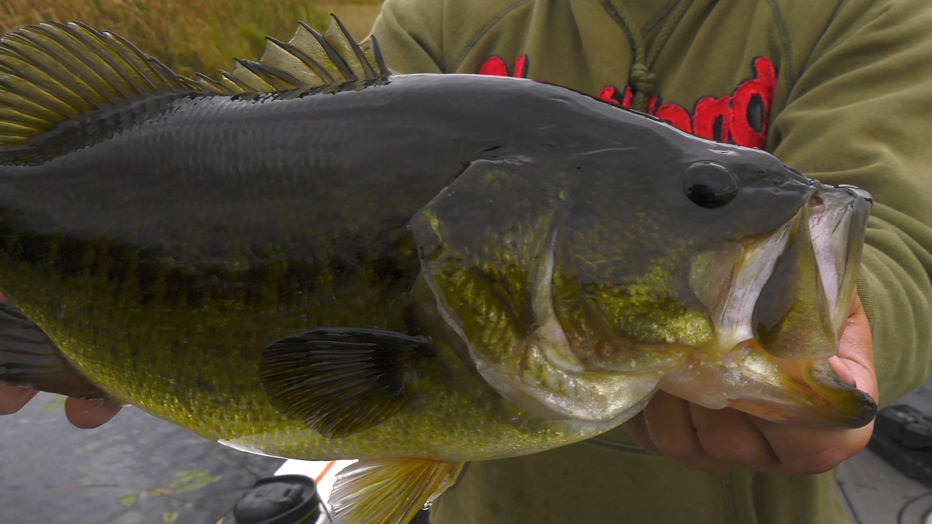 Top Water Bass on Leech Lake episode thumbnail