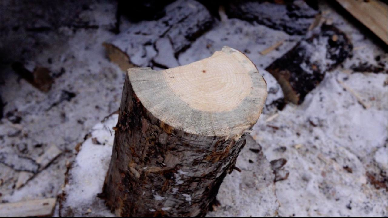 Wolves episode thumbnail