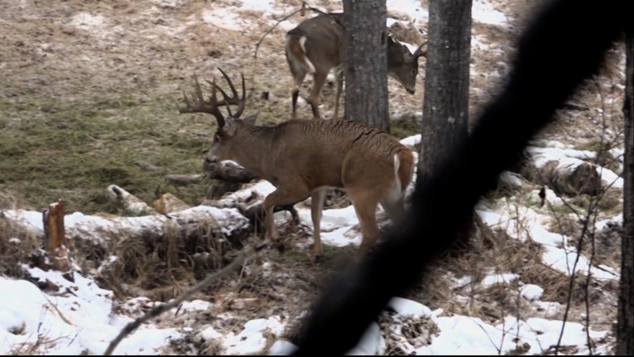 Excalibur episode thumbnail