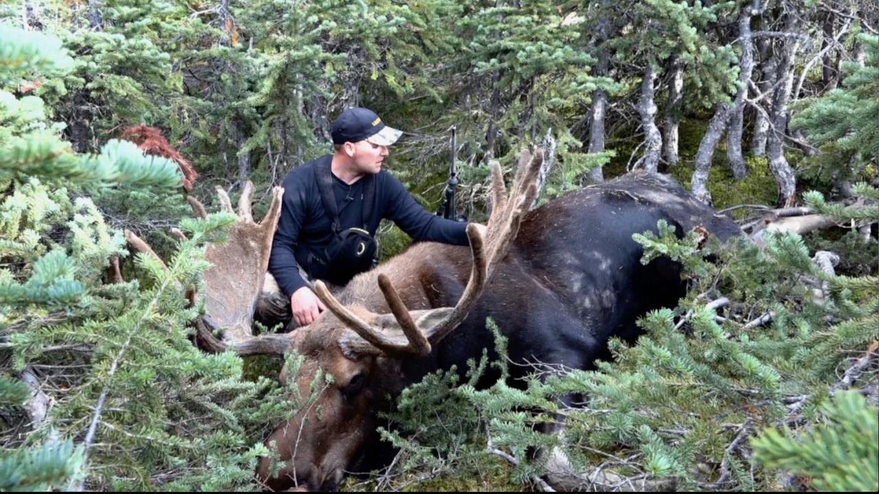 Wrap Up episode thumbnail