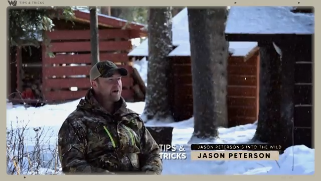 How to Locate a Wolf From Callback episode thumbnail