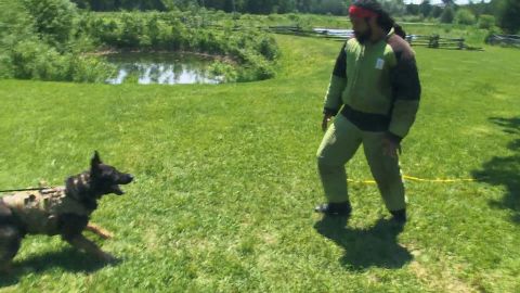 Grassroots K9 - Part 2 episode thumbnail