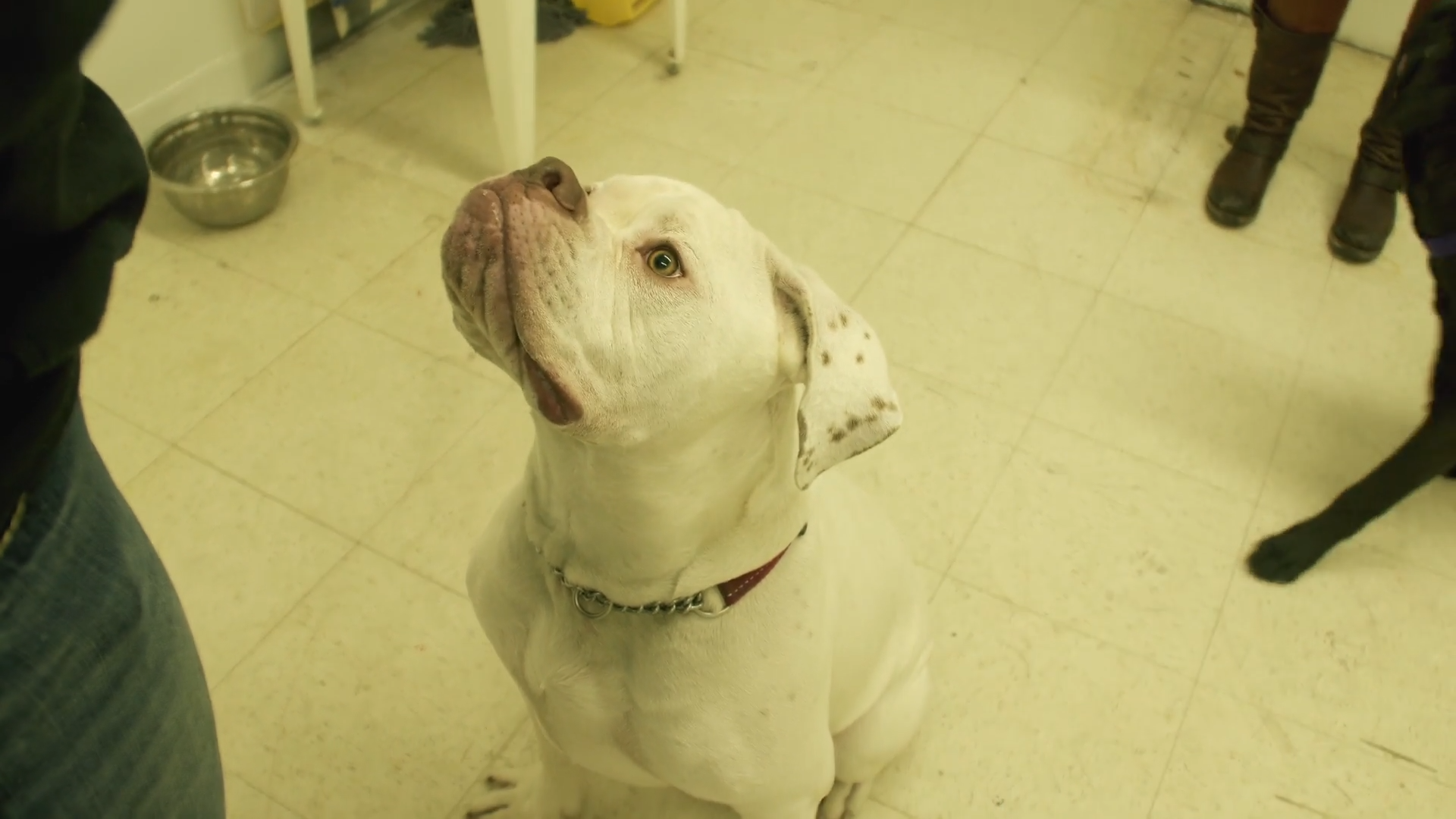 Tattoo Time episode thumbnail