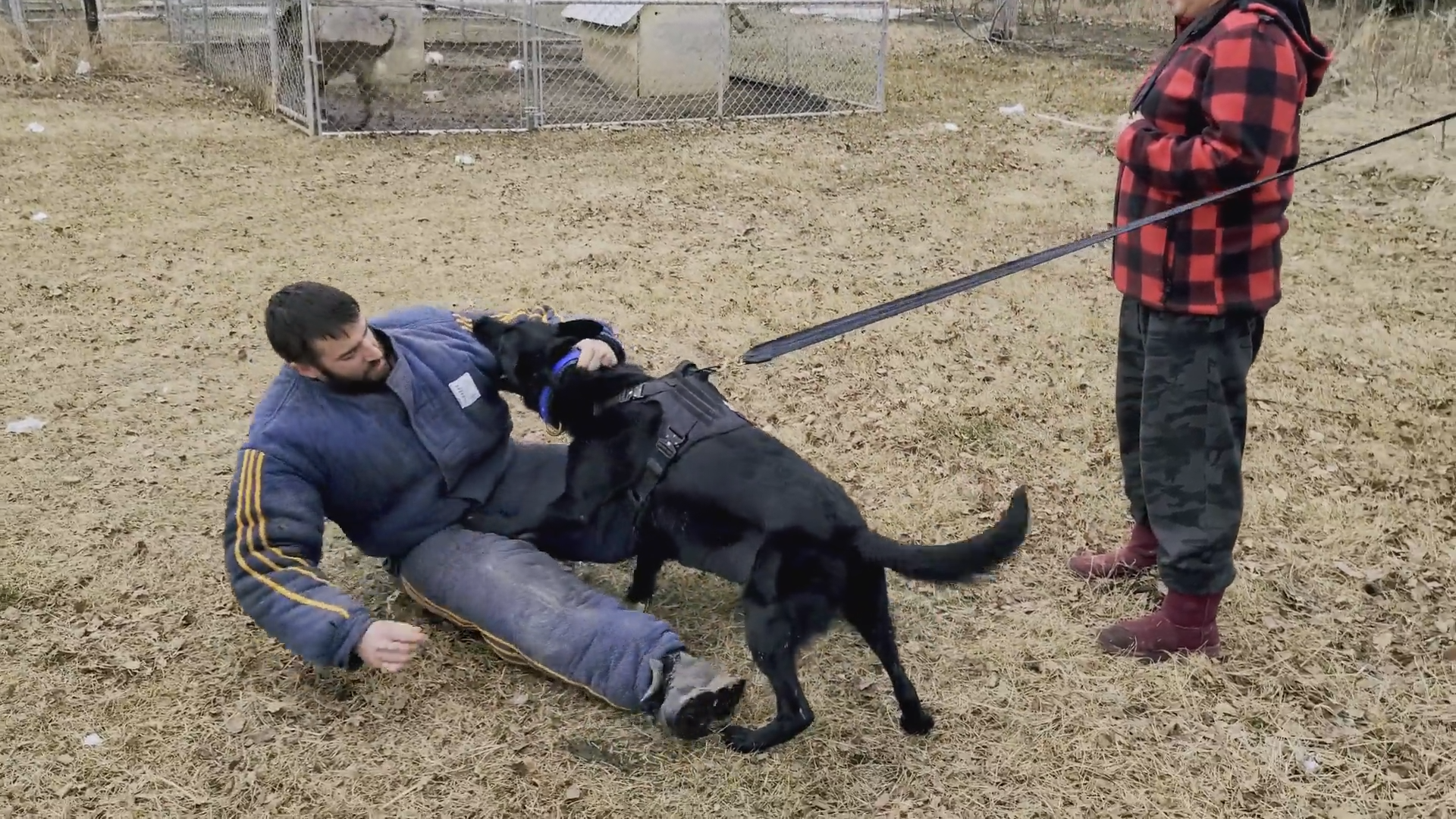 Tracking and Protection episode thumbnail