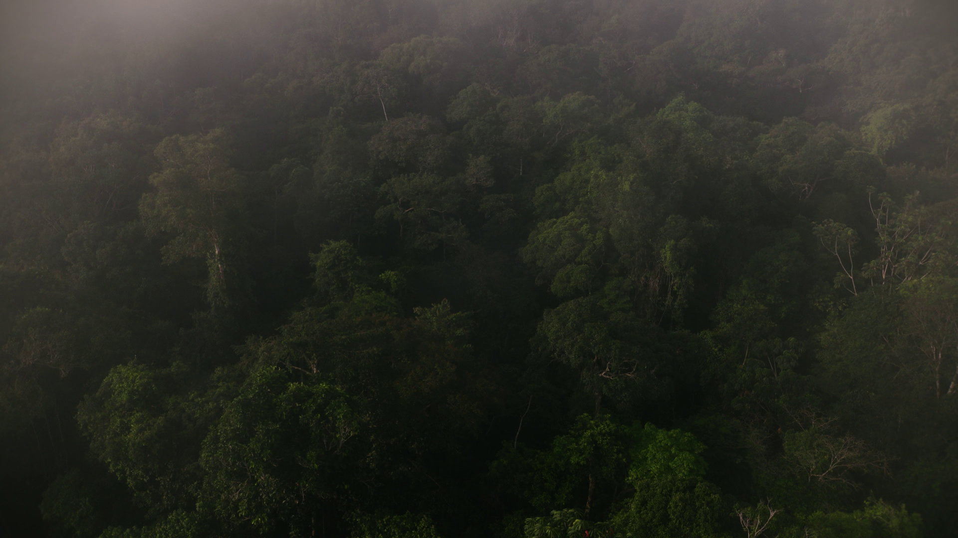 Ecuador - Beneath the Endless Canopy episode thumbnail