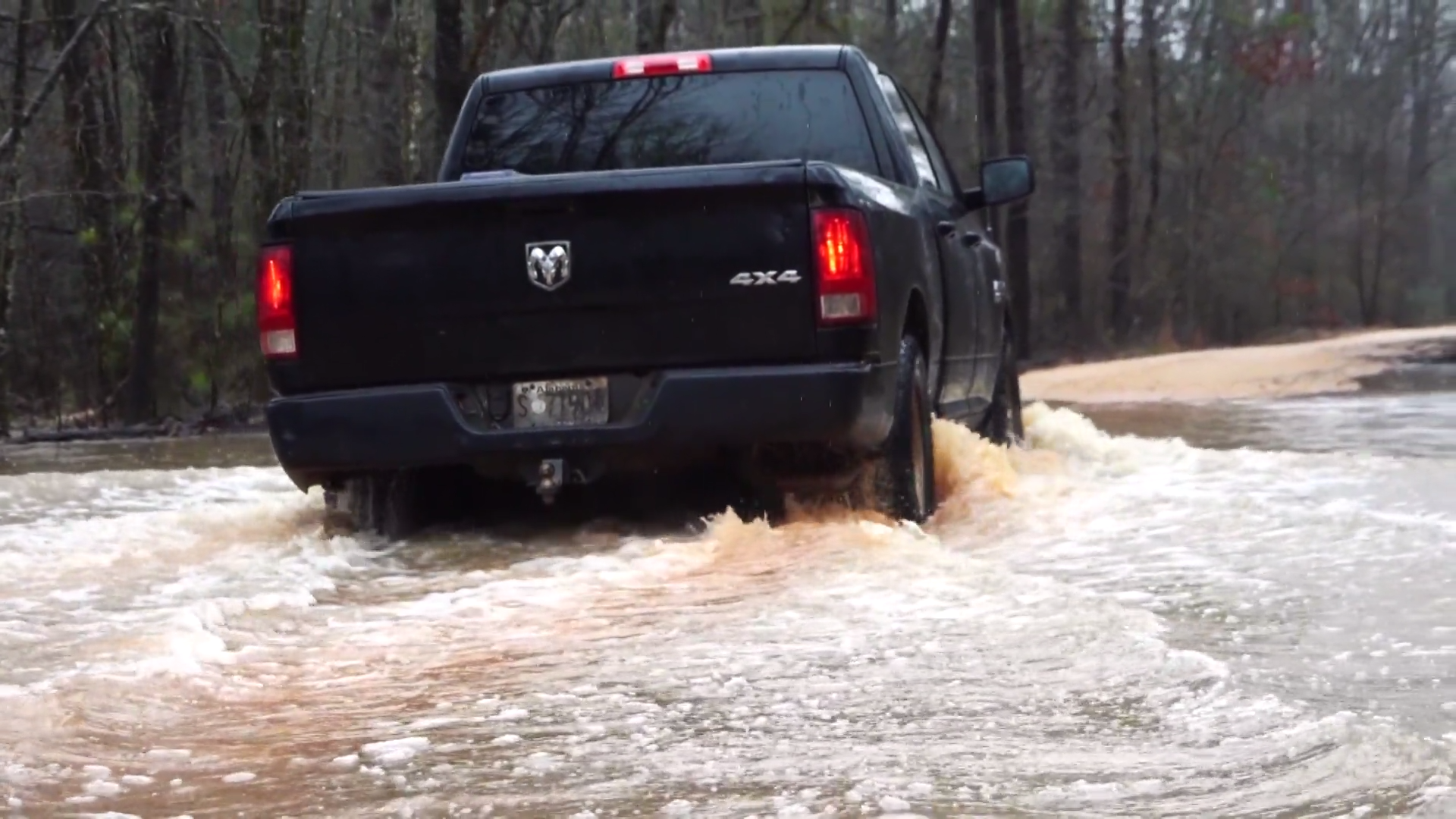 Hogs and Hog Hunting episode thumbnail